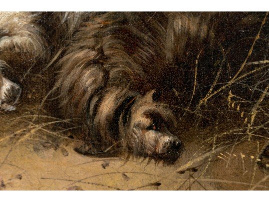 Edward Armfield (British, 1817-1896) Oil On Canvas Interior Genre Scene Of  Dogs In A Barn House