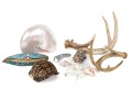 Eclectic Decorative Collection Of 12 Shell, Horn And Stone Items