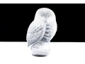 French, Lalique Frosted Crystal Owl On Perch Form Paperweight