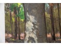 William A. Drake (1891-1979), Oil Artist Panel - Forest Landscape - Unframed