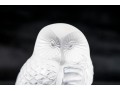 French, Lalique Frosted Crystal Owl On Perch Form Paperweight