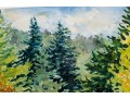 William L. Drake (1929-2019) Watercolor On Paper, Forest Landscape