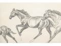 Assorted Collection Of Framed Equestrian And Surrealistic Prints 