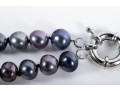 Double-Strand Black Cultured Pearl Necklace With 14k Yellow Gold Earrings