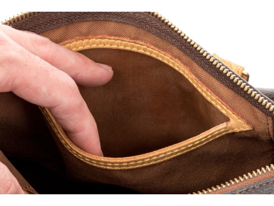 Louis Vuitton Iconic Brown Logo Speedy 25 Top Handle Bag