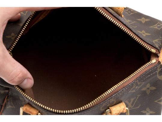 Louis Vuitton Iconic Brown Logo Speedy 25 Top Handle Bag
