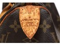 Louis Vuitton Iconic Brown Logo Speedy 25 Top Handle Bag
