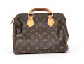 Louis Vuitton Iconic Brown Logo Speedy 25 Top Handle Bag