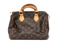 Louis Vuitton Iconic Brown Logo Speedy 25 Top Handle Bag