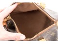 Louis Vuitton Iconic Brown Logo Speedy 25 Top Handle Bag