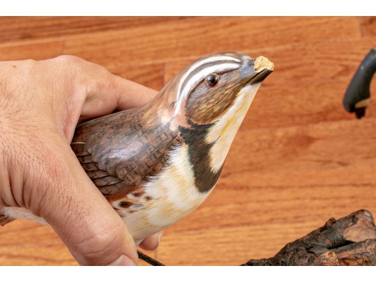 Collection Of 5 Assorted Makers, Hand Carved And Painted Bird Models 