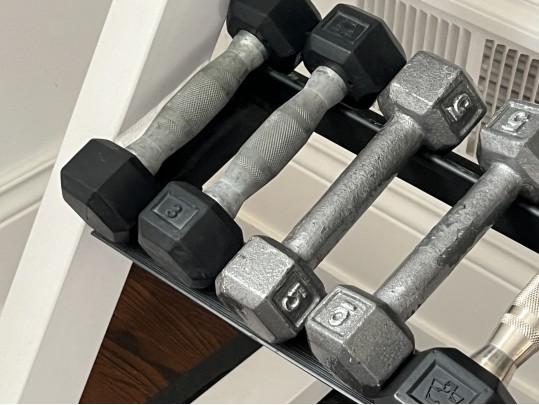 Nautilus Two Tiered Weight Rack