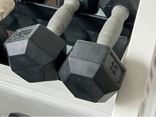 Nautilus Two Tiered Weight Rack