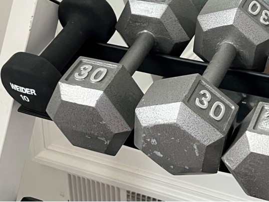 Nautilus Two Tiered Weight Rack