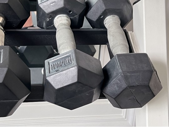 Nautilus Two Tiered Weight Rack