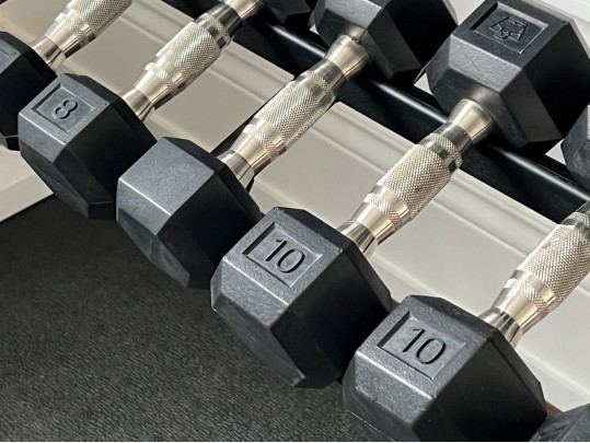 Nautilus Two Tiered Weight Rack