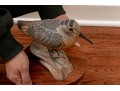 Collection Of 5 Assorted Makers, Hand Carved And Painted Bird Models 