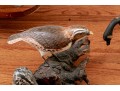 Collection Of 5 Assorted Makers, Hand Carved And Painted Bird Models 
