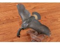 Collection Of 5 Assorted Makers, Hand Carved And Painted Bird Models 