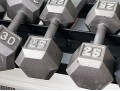 Nautilus Two Tiered Weight Rack