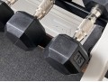 Nautilus Two Tiered Weight Rack