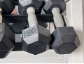 Nautilus Two Tiered Weight Rack