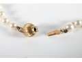 14k Yellow Gold Cultured Pearl Necklace And Earrings