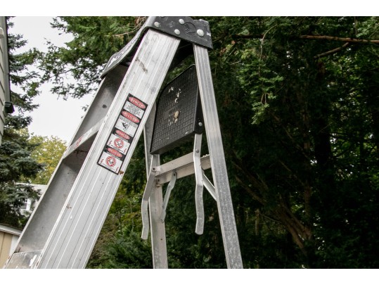 Louisville Tall Ladder