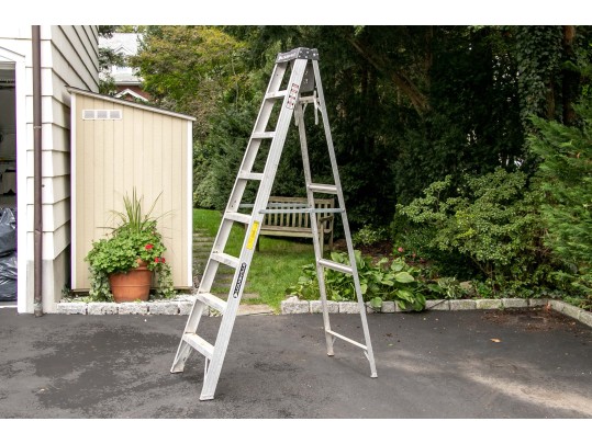 Louisville Tall Ladder