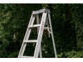 Louisville Tall Ladder