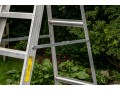Louisville Tall Ladder