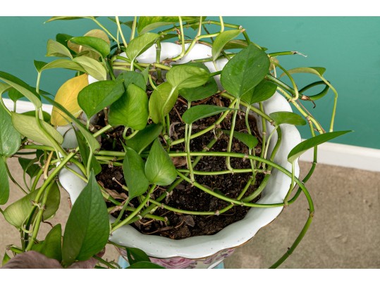 Pretty Blue And Magenta Ceramic Pedestal Jardiniere