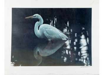 Black Rock Galleries