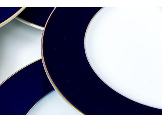 Set Of 8 Rosenthal Classic Rose Collection Dinner Plates