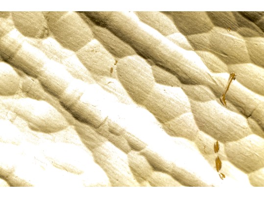 T.J. McDermott (Am., 20th-21st C) Weather Vane With A Golden Fish Top