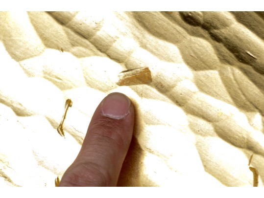 T.J. McDermott (Am., 20th-21st C) Weather Vane With A Golden Fish Top