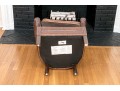 Adorable Children Leather Upholstered Club Chair