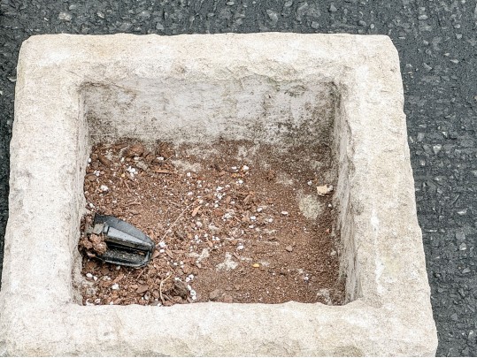Collection Of Three Square Form Concrete Planters