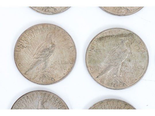 Fourteen Peace Dollars, 1922-1935