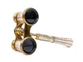 Lemaire Fi, Paris Beautiful Vintage Long Handle Mother-of-pearl Opera Glasses