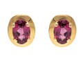 14K Yellow Gold Pretty Oval Faceted Rhodolite Garnet And Gold Framed Earrings