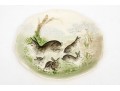 Choisy Le Roi, HIggins & Seiter Charming Antique Frolicking Bunnies Plate
