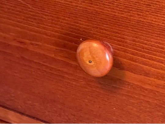 Handsome Low Chest Of Drawers