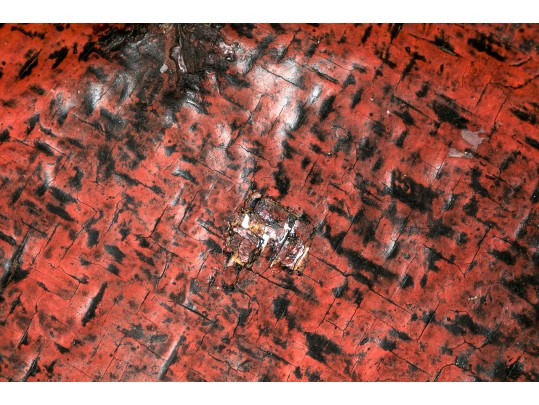 Asian Lacquered Woven Bowl