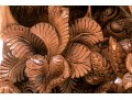 Carved Thai Wooden Panel