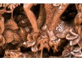 Carved Thai Wooden Panel