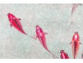 Chinese Watercolor Diptych On Paper, Fish Swimming