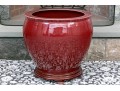 Chinese Sang De Boeuf Glazed Ceramic Jardiniere On Stand
