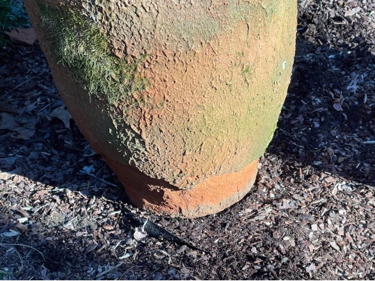 Terracotta And Iron Planters