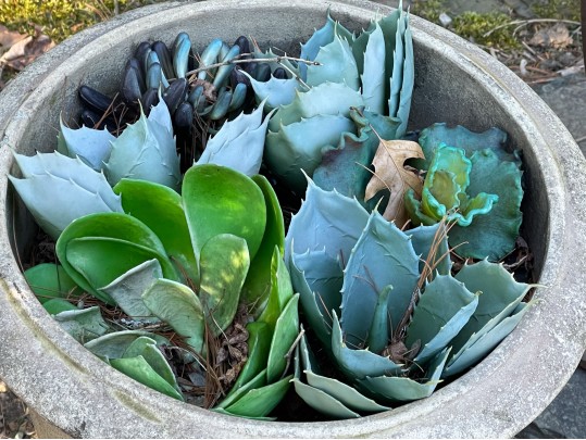 Lovely Pair Of Outdoor Garden Planters